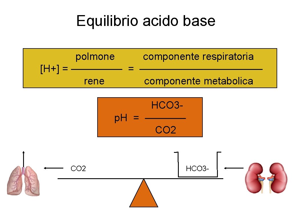 Equilibrio acido base polmone componente respiratoria [H+] = ———————————— rene componente metabolica HCO 3