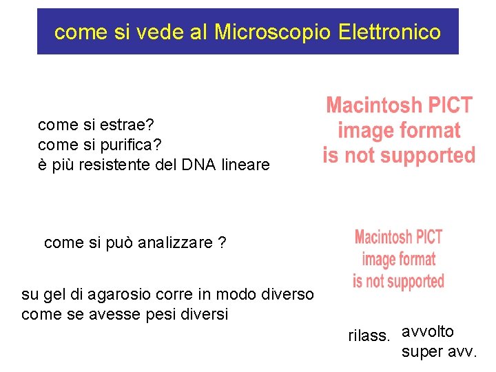 come si vede al Microscopio Elettronico come si estrae? come si purifica? è più