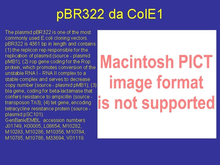 p. BR 322 da Col. E 1 The plasmid p. BR 322 is one