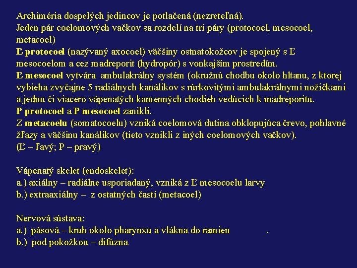 Archiméria dospelých jedincov je potlačená (nezreteľná). Jeden pár coelomových vačkov sa rozdelí na tri