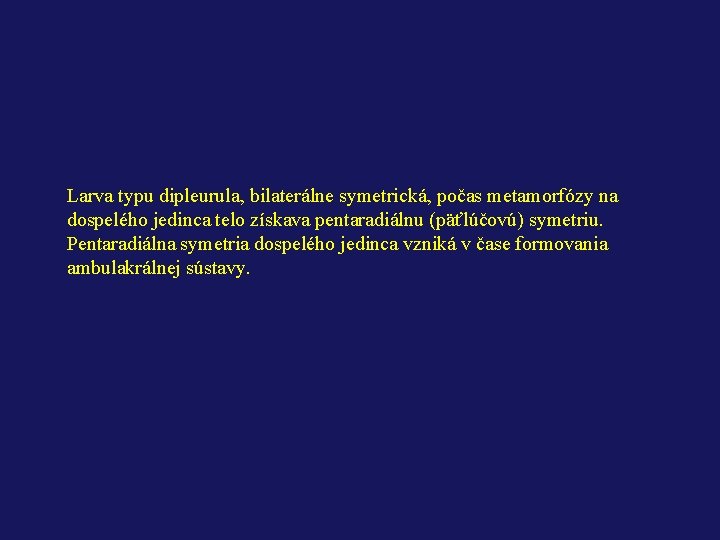 Larva typu dipleurula, bilaterálne symetrická, počas metamorfózy na dospelého jedinca telo získava pentaradiálnu (päťlúčovú)