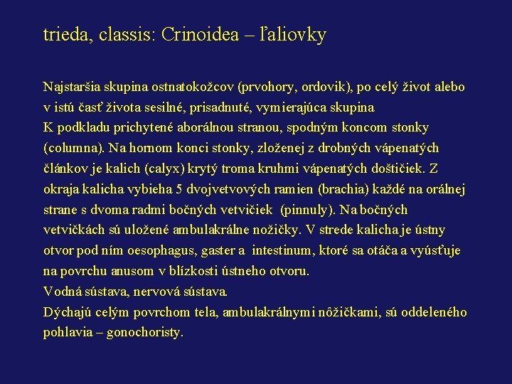 trieda, classis: Crinoidea – ľaliovky Najstaršia skupina ostnatokožcov (prvohory, ordovik), po celý život alebo