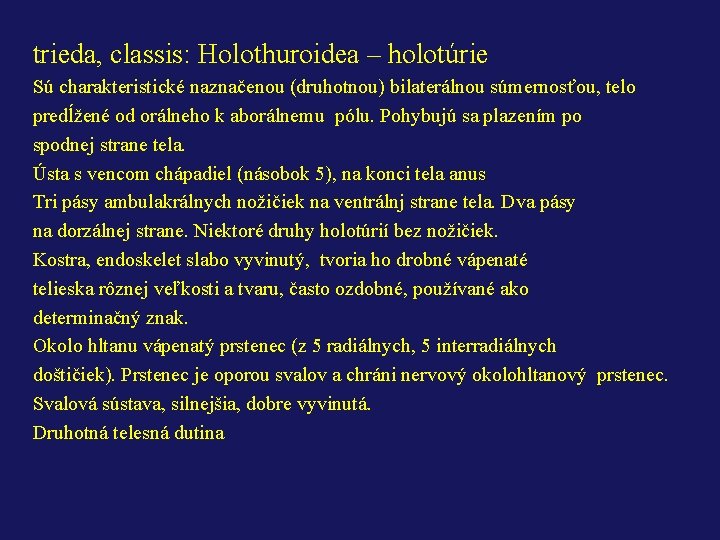 trieda, classis: Holothuroidea – holotúrie Sú charakteristické naznačenou (druhotnou) bilaterálnou súmernosťou, telo predĺžené od