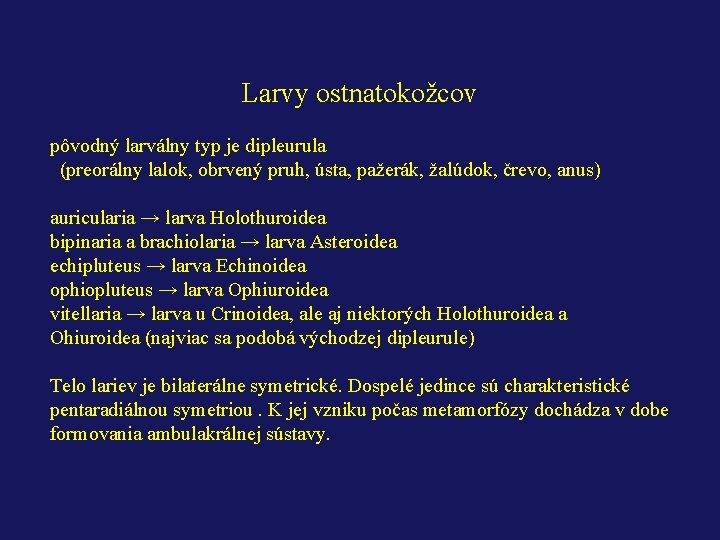 Larvy ostnatokožcov pôvodný larválny typ je dipleurula (preorálny lalok, obrvený pruh, ústa, pažerák, žalúdok,