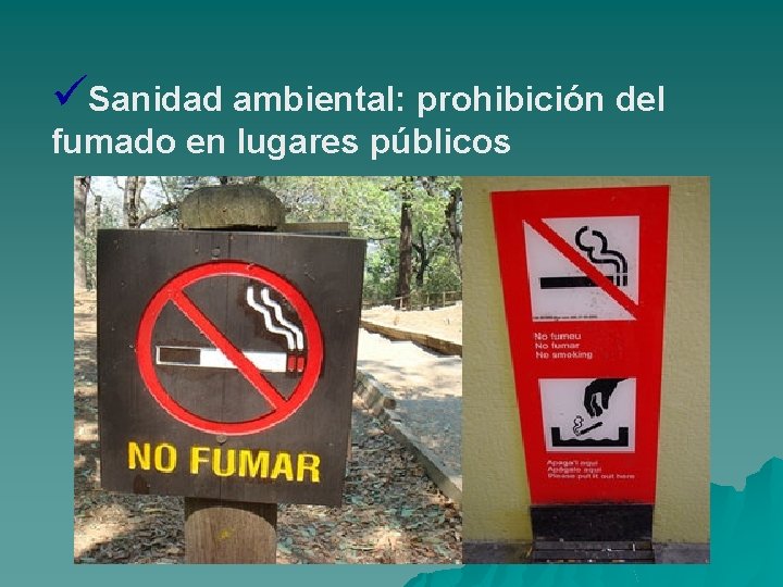 üSanidad ambiental: prohibición del fumado en lugares públicos 