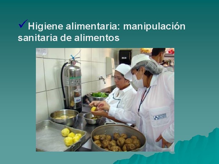 üHigiene alimentaria: manipulación sanitaria de alimentos 