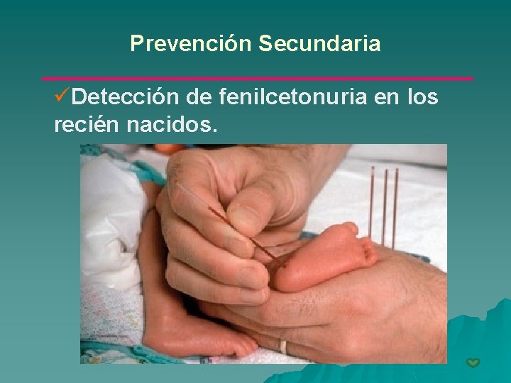 Prevención Secundaria üDetección de fenilcetonuria en los recién nacidos. 