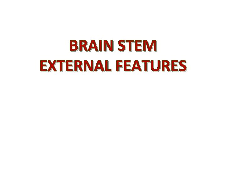 BRAIN STEM EXTERNAL FEATURES 