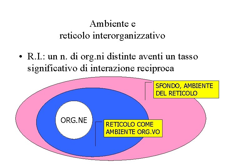 Ambiente e reticolo interorganizzativo • R. I. : un n. di org. ni distinte