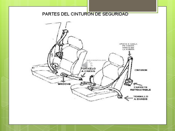 PARTES DEL CINTURON DE SEGURIDAD 