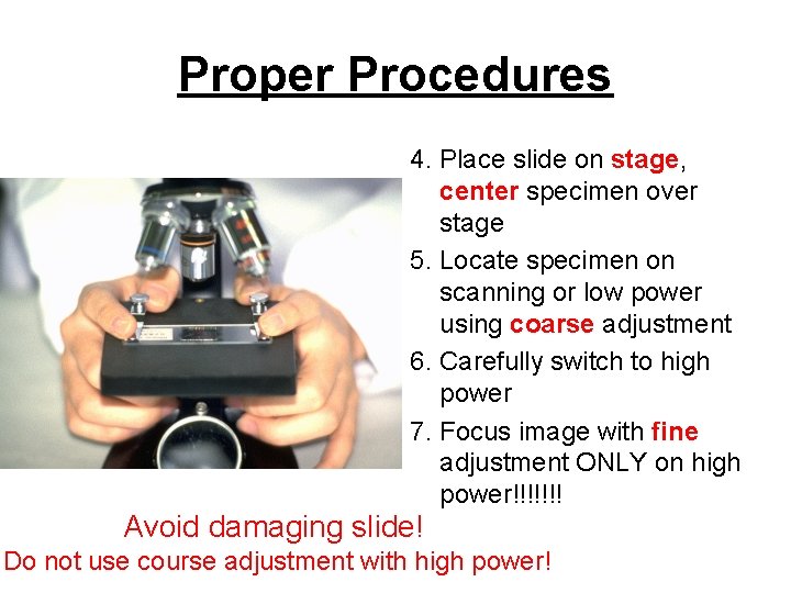 Proper Procedures 4. Place slide on stage, center specimen over stage 5. Locate specimen