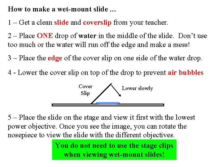 How to make a wet-mount slide … 1 – Get a clean slide and