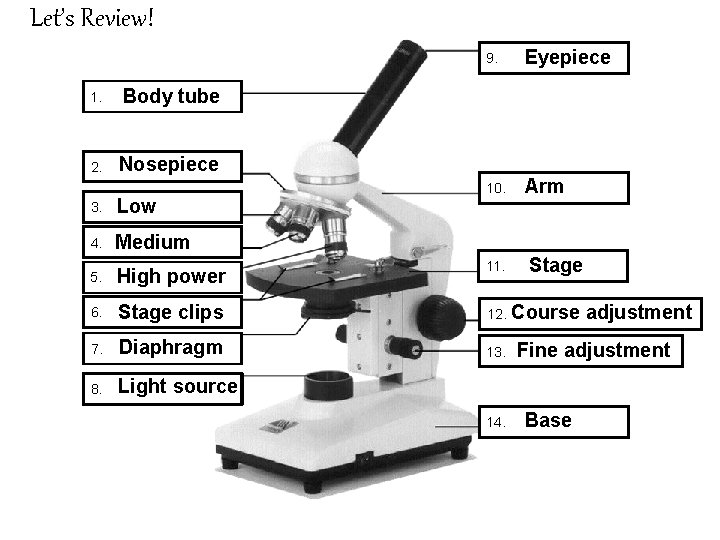 Let’s Review! 1. Body tube 2. Nosepiece 9. Eyepiece 10. Arm 3. Low 4.
