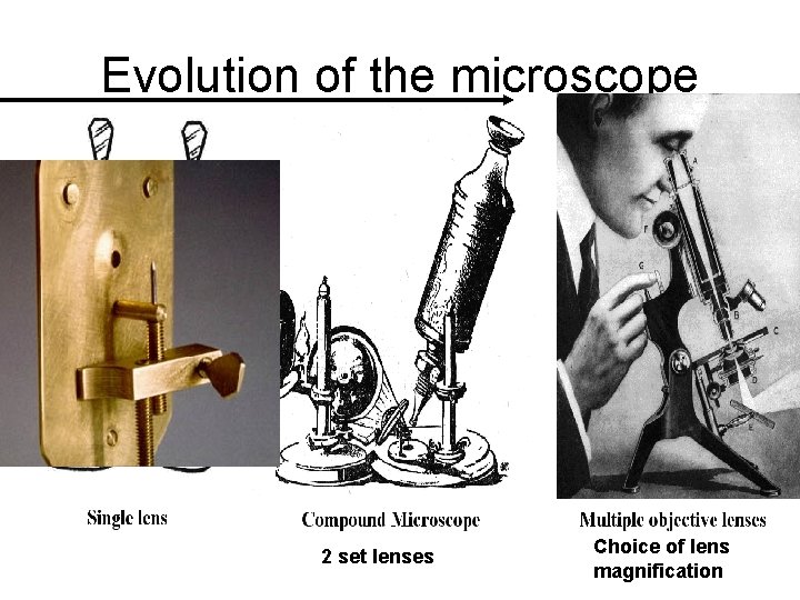 Evolution of the microscope 2 set lenses Choice of lens magnification 