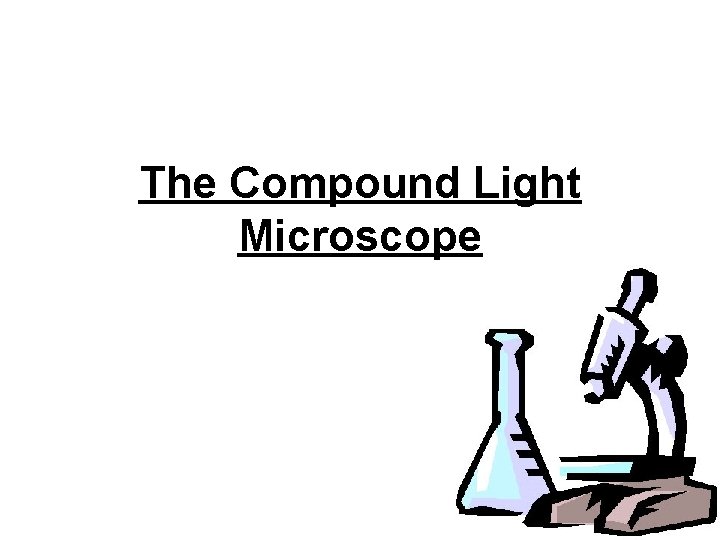 The Compound Light Microscope 