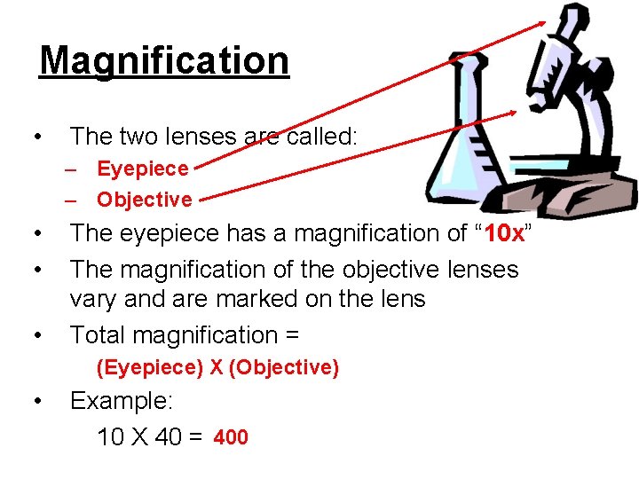 Magnification • The two lenses are called: – Eyepiece – Objective • • •