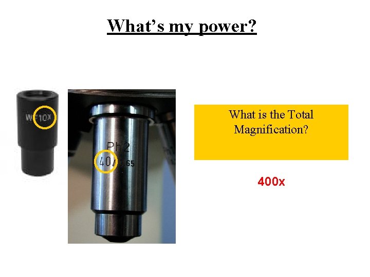 What’s my power? What is the Total Magnification? 400 x 