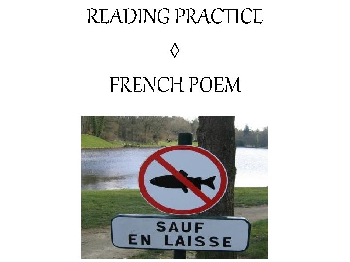 READING PRACTICE ◊ FRENCH POEM 