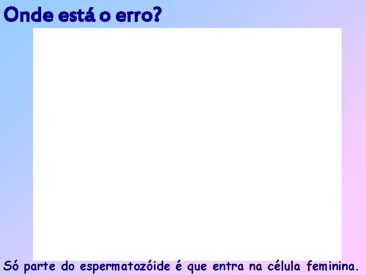 Onde está o erro? Só parte do espermatozóide é que entra na célula feminina.