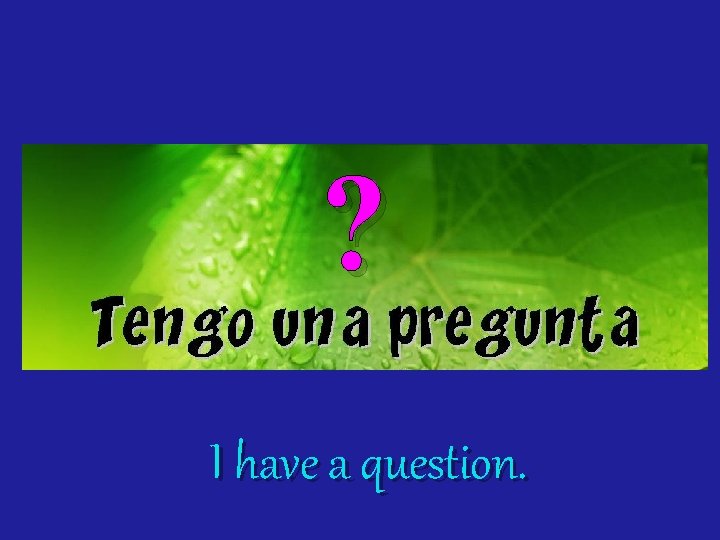 ? I have a question. 