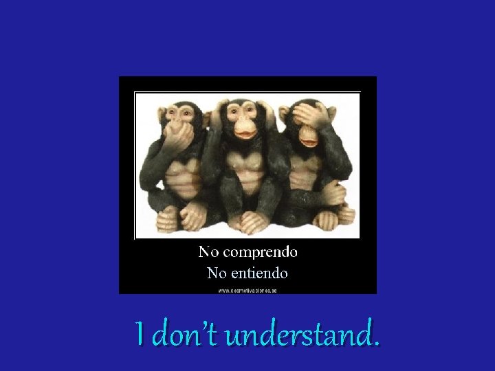 No entiendo I don’t understand. 
