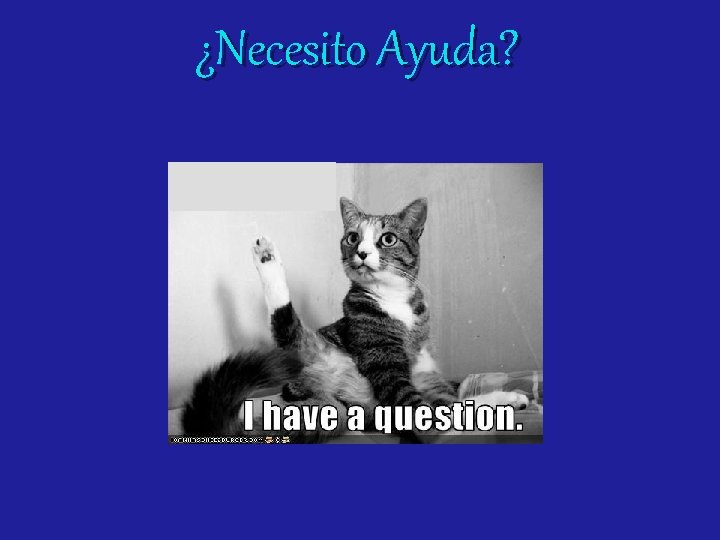 ¿Necesito Ayuda? 