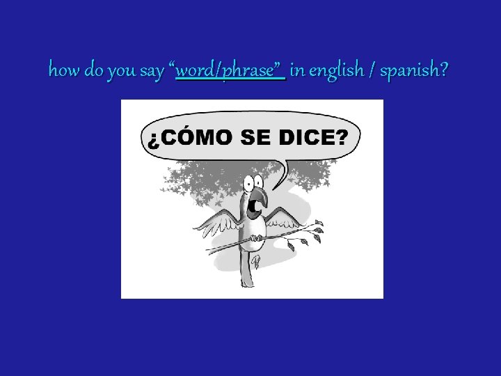 how do you say “word/phrase” in english / spanish? 