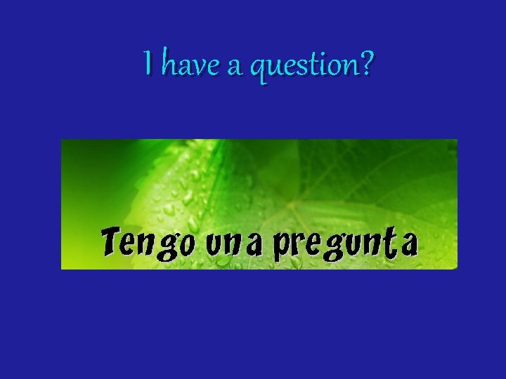 I have a question? 