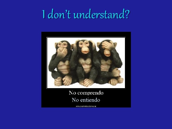 I don’t understand? No entiendo 