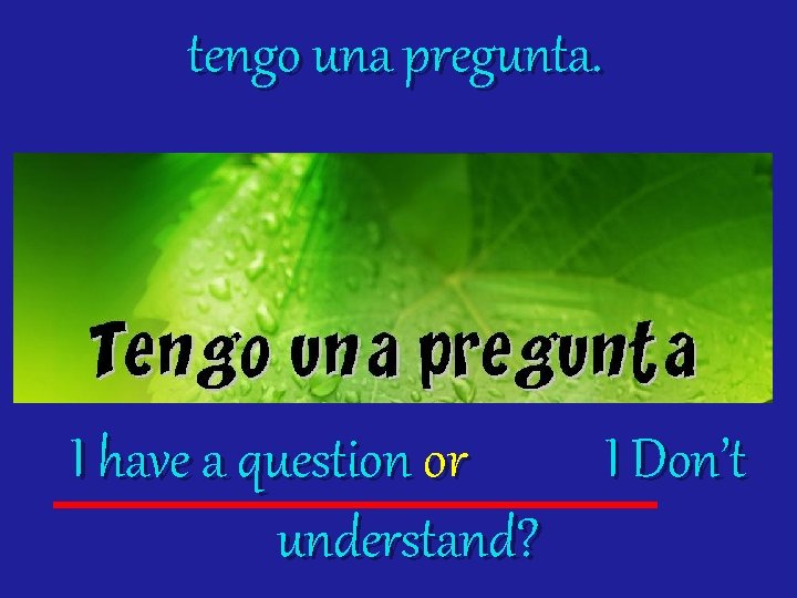 tengo una pregunta. I have a question or I Don’t understand? 