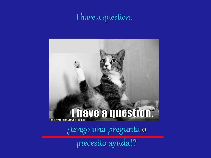 I have a question. ¿tengo una pregunta o ¡necesito ayuda!? 