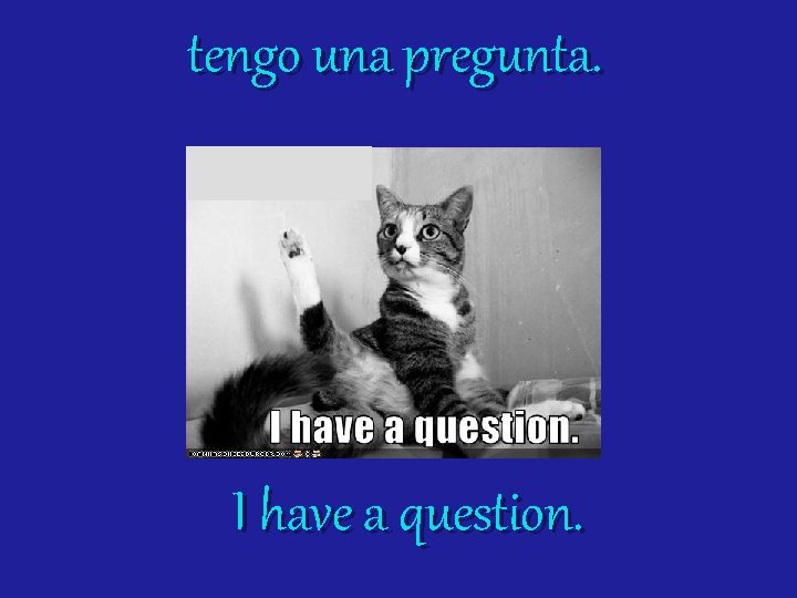 tengo una pregunta. I have a question. 