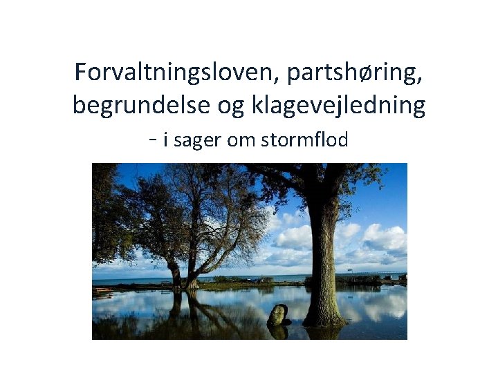 Forvaltningsloven, partshøring, begrundelse og klagevejledning - i sager om stormflod 