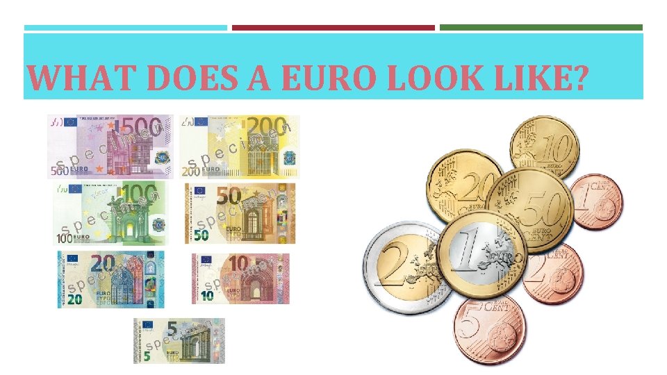 WHAT DOES A EURO LOOK LIKE? 