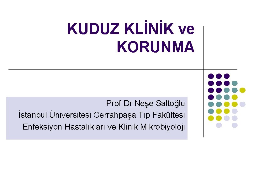 KUDUZ KLİNİK ve KORUNMA Prof Dr Neşe Saltoğlu İstanbul Üniversitesi Cerrahpaşa Tıp Fakültesi Enfeksiyon KUDUZ KLİNİK ve KORUNMA Prof Dr Neşe Saltoğlu İstanbul Üniversitesi Cerrahpaşa Tıp Fakültesi Enfeksiyon