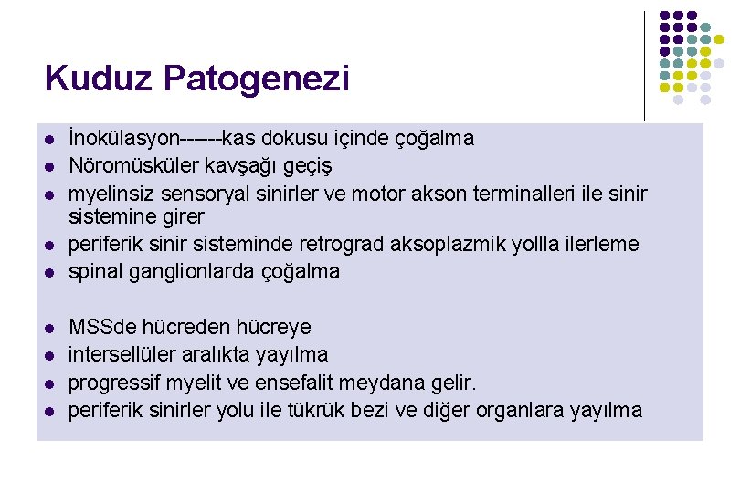Kuduz Patogenezi l l l l l İnokülasyon------kas dokusu içinde çoğalma Nöromüsküler kavşağı geçiş Kuduz Patogenezi l l l l l İnokülasyon------kas dokusu içinde çoğalma Nöromüsküler kavşağı geçiş