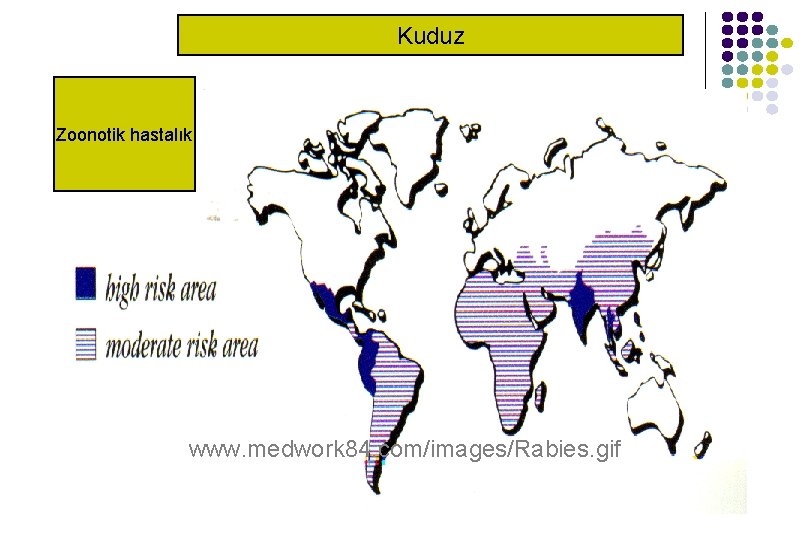 Kuduz Zoonotik hastalık www. medwork 84. com/images/Rabies. gif Kuduz Zoonotik hastalık www. medwork 84. com/images/Rabies. gif