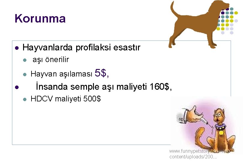 Korunma l Hayvanlarda profilaksi esastır l l aşı önerilir Hayvan aşılaması 5$, İnsanda semple Korunma l Hayvanlarda profilaksi esastır l l aşı önerilir Hayvan aşılaması 5$, İnsanda semple