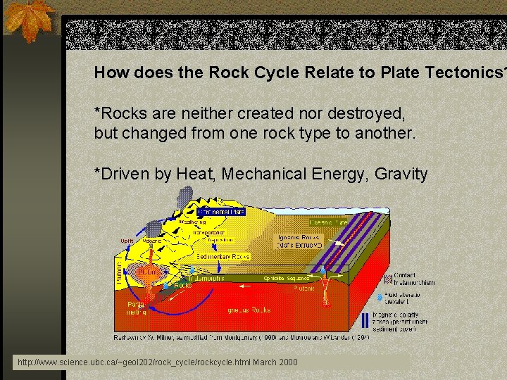 How does the Rock Cycle Relate to Plate Tectonics? *Rocks are neither created nor