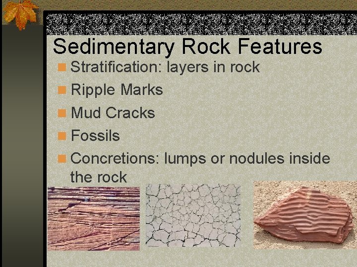 Sedimentary Rock Features n Stratification: layers in rock n Ripple Marks n Mud Cracks