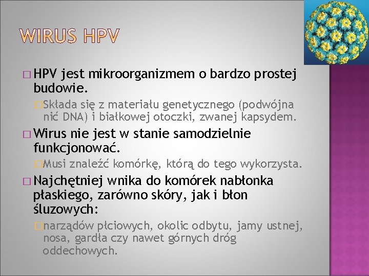 � HPV jest mikroorganizmem o bardzo prostej budowie. �Składa się z materiału genetycznego (podwójna