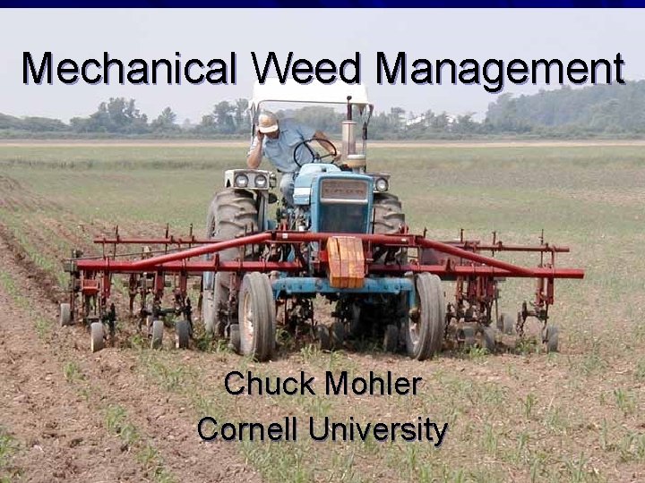 Mechanical Weed Management Chuck Mohler Cornell University Mechanical Weed Management Chuck Mohler Cornell University