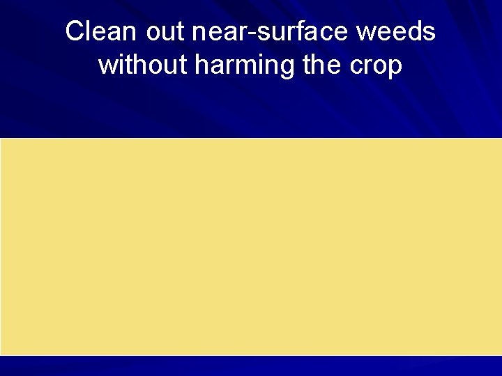 Clean out near-surface weeds without harming the crop Clean out near-surface weeds without harming the crop