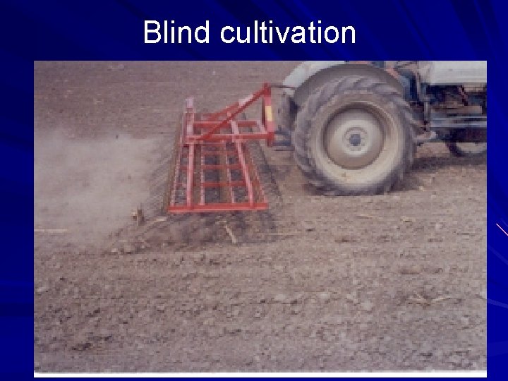 Blind cultivation Blind cultivation