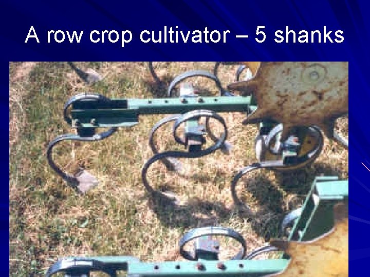 A row crop cultivator – 5 shanks A row crop cultivator – 5 shanks