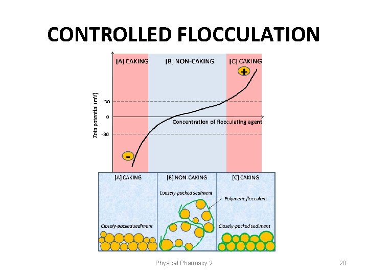 CONTROLLED FLOCCULATION Physical Pharmacy 2 28 CONTROLLED FLOCCULATION Physical Pharmacy 2 28