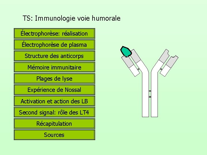 TS: Immunologie voie humorale Électrophorèse: réalisation Électrophorèse de plasma Structure des anticorps Mémoire immunitaire