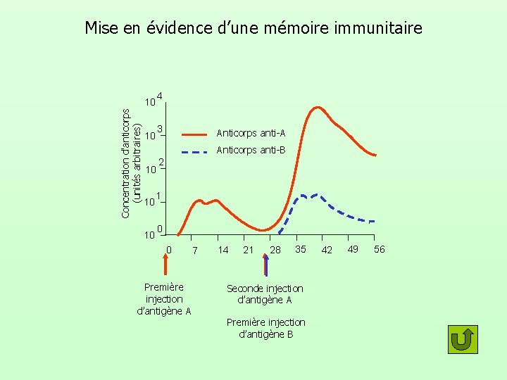 Mise en évidence d’une mémoire immunitaire 4 Concentration d'anticorps (unités arbitraires) 10 3 10