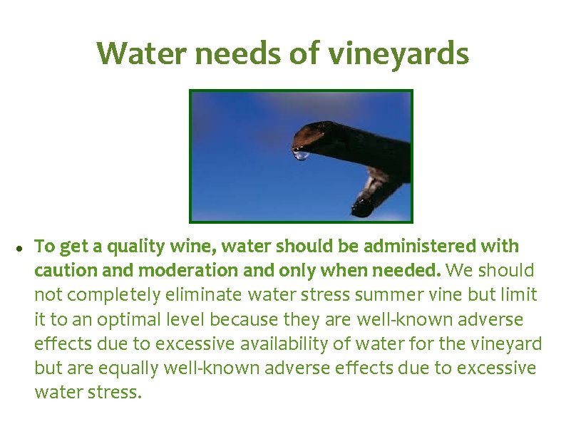 Water needs of vineyards To get a quality wine, water should be administered with