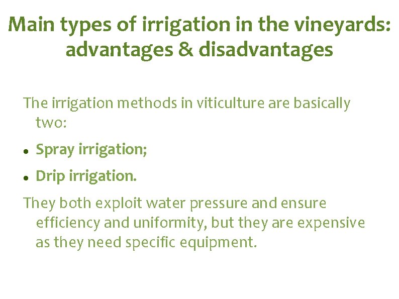 Main types of irrigation in the vineyards: advantages & disadvantages The irrigation methods in